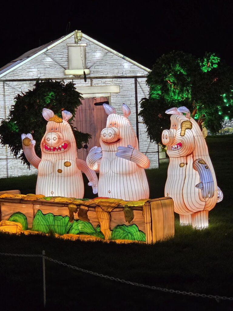 Longleat Festival of Lights lanterns featuring three Aardman pig characters, with trees and a lit-up barn in the background.
